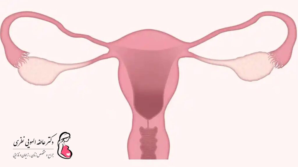 علائم تنگ شدن واژن در بارداری