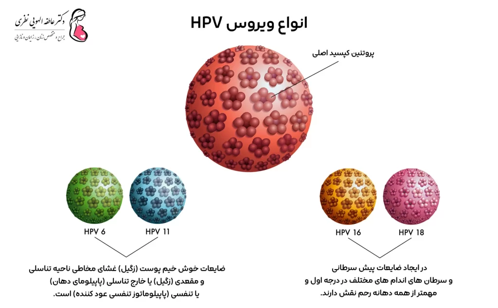 انواع ویروس اچ پی وی